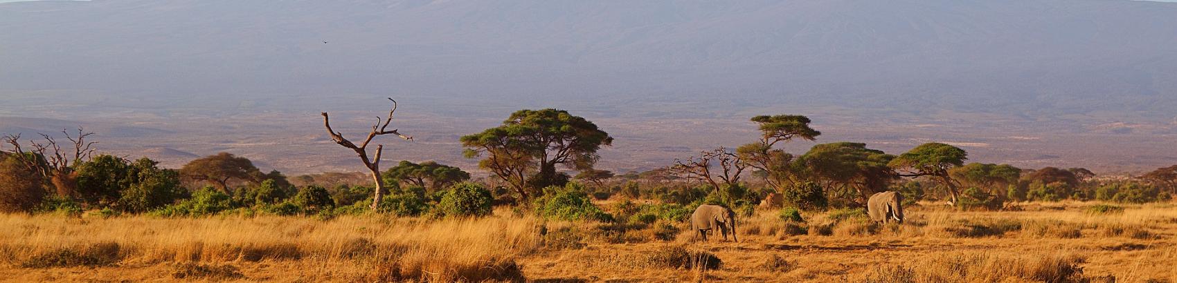 SCI Helvetia Chapter - How Kenya 'plotted' own wildlife loss